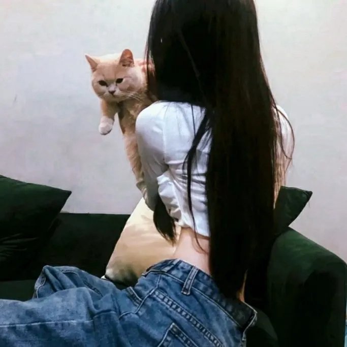 丛林小屋